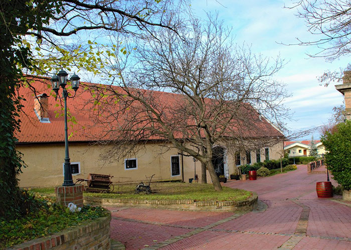 Ilocki Podrumi