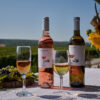 Vinarija Papak Vinarija Papak