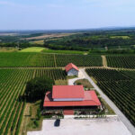 Vinarija Papak