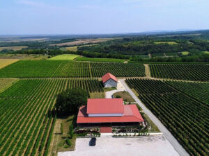 vinarija-papak-1m Vinarija Papak