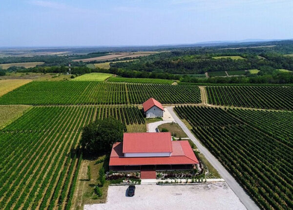 vinarija-papak-1m Vinarija Papak